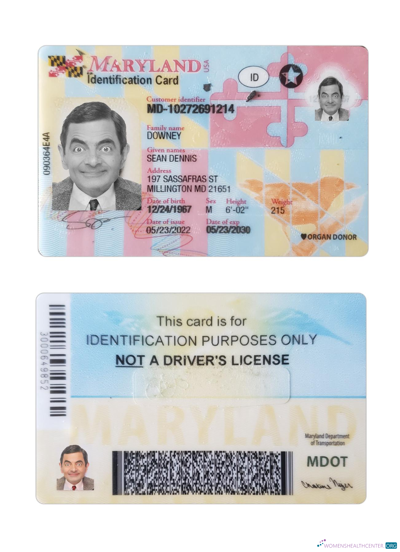 Download USA Maryland ID card Photoshop template